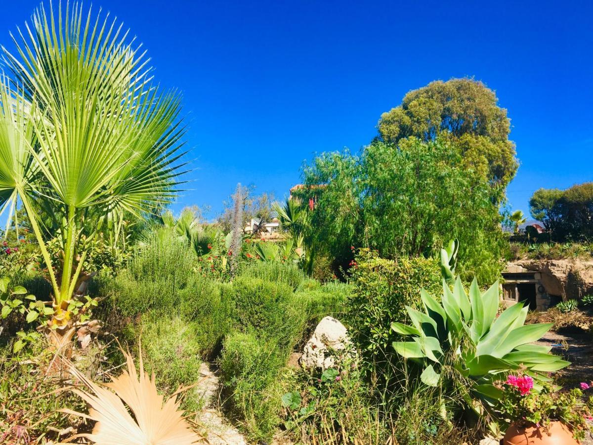 Tenerife Nature Retreat Ifonche Dış mekan fotoğraf