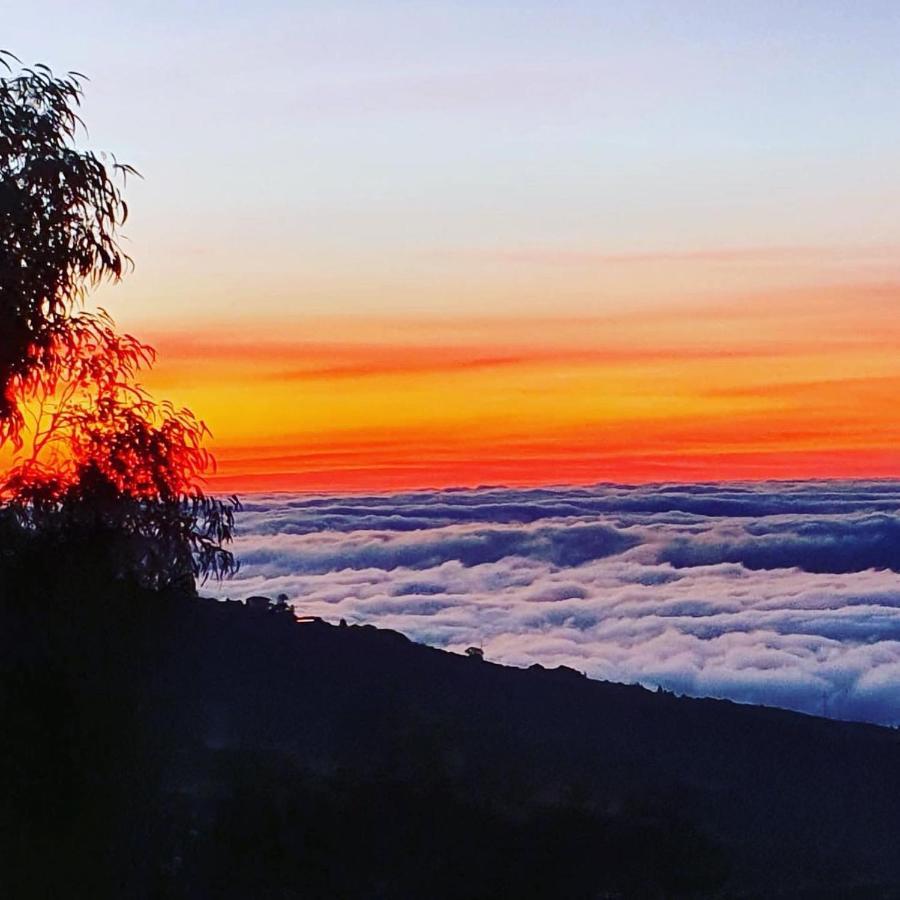 Tenerife Nature Retreat Ifonche Dış mekan fotoğraf