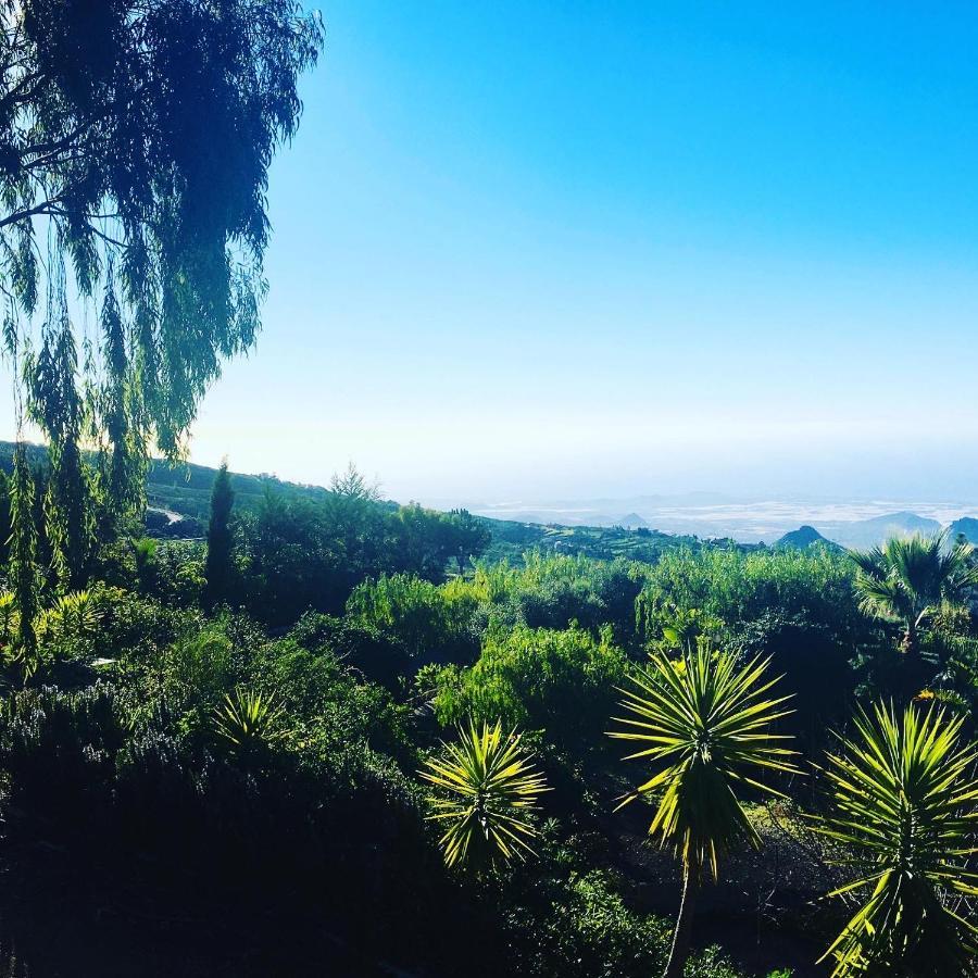 Tenerife Nature Retreat Ifonche Dış mekan fotoğraf