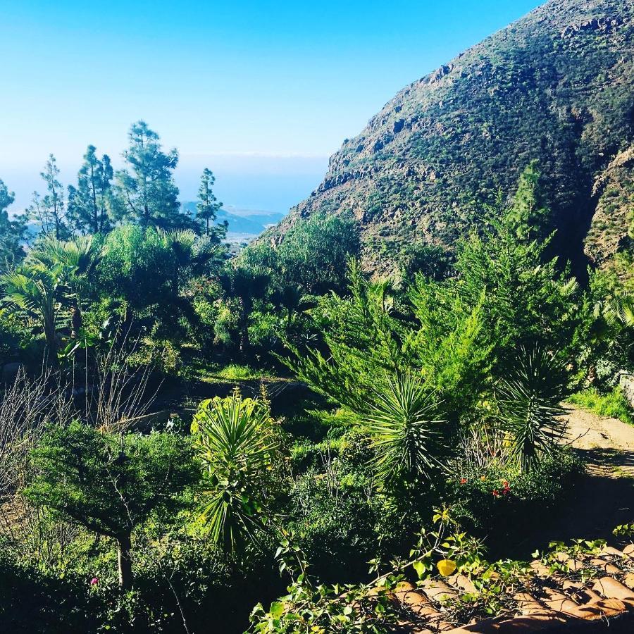 Tenerife Nature Retreat Ifonche Dış mekan fotoğraf