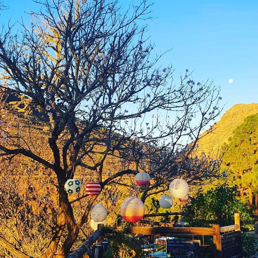 Tenerife Nature Retreat Ifonche Dış mekan fotoğraf